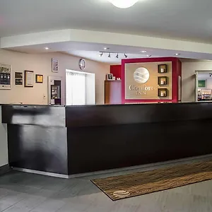 https://comfort-inn-south-shore.hotels-in-montreal.org